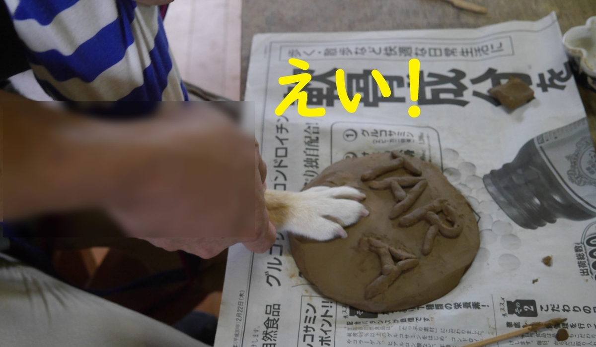 f:id:hanatara:20190918091756j:plain