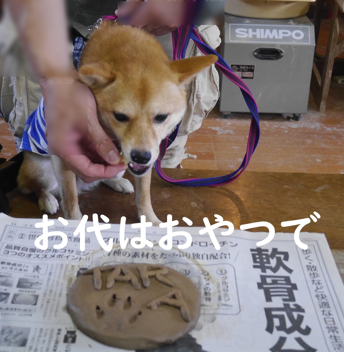 f:id:hanatara:20190918092552j:plain