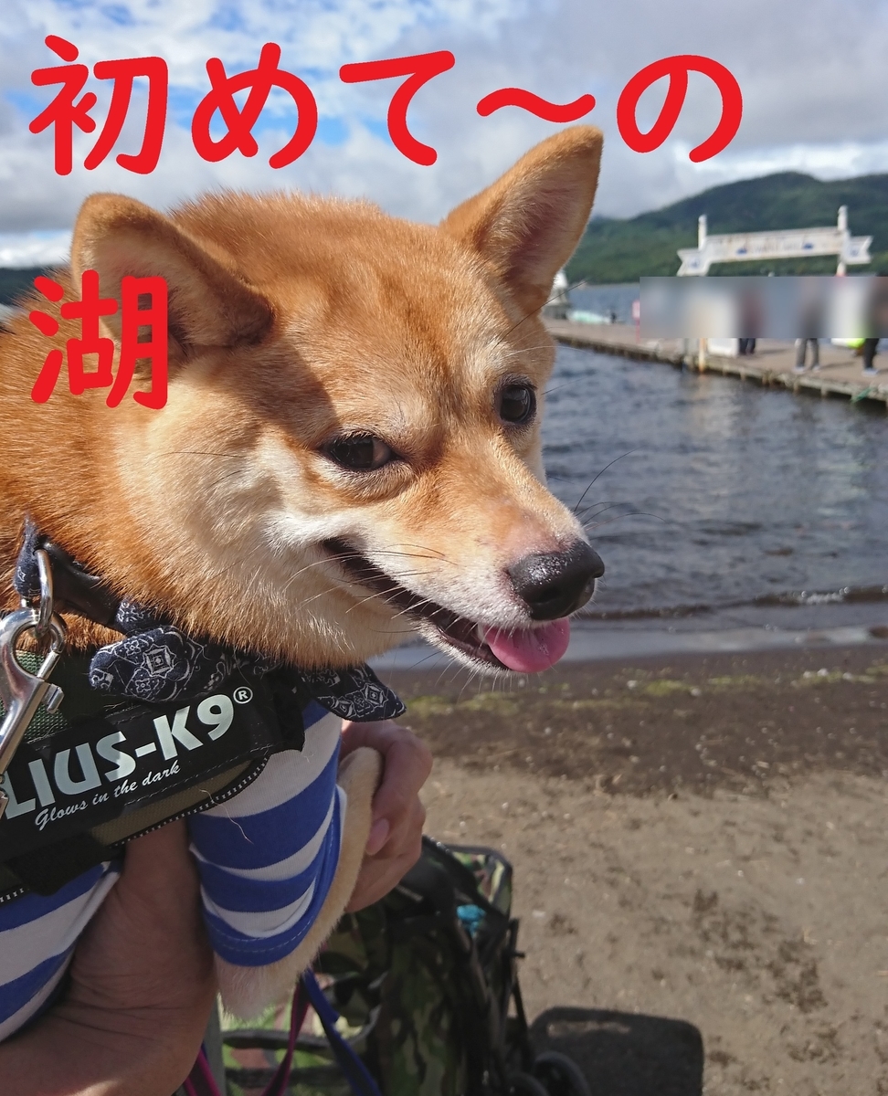 f:id:hanatara:20190918094414j:plain
