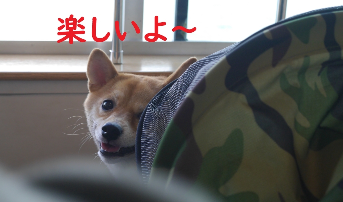 f:id:hanatara:20190918094911j:plain