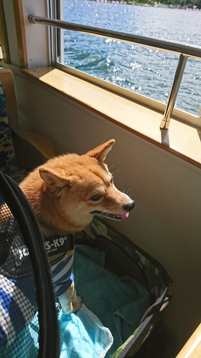 f:id:hanatara:20190918095135j:plain