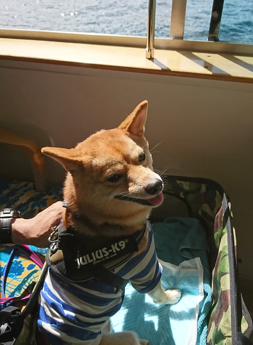 f:id:hanatara:20190918095218j:plain