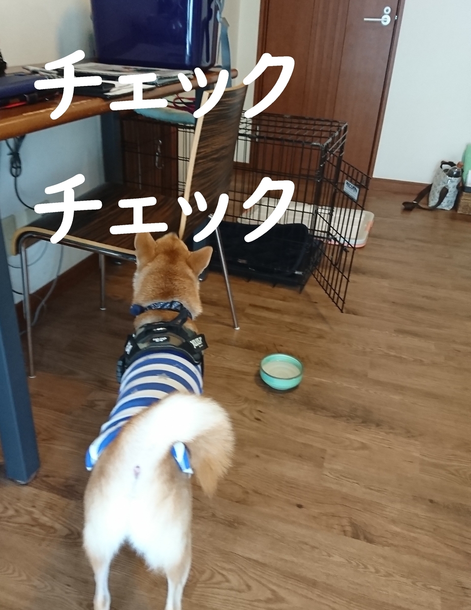 f:id:hanatara:20190918103140j:plain