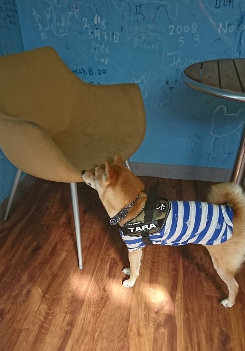 f:id:hanatara:20190918111003j:plain