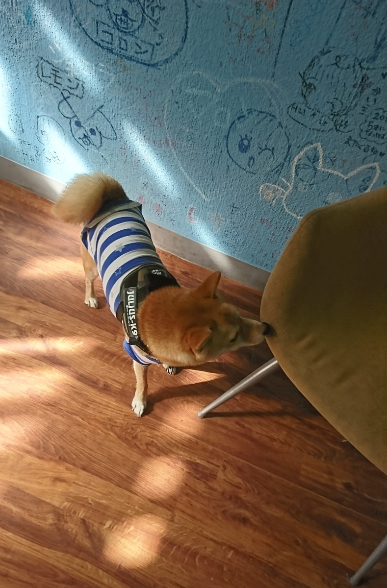 f:id:hanatara:20190918111045j:plain