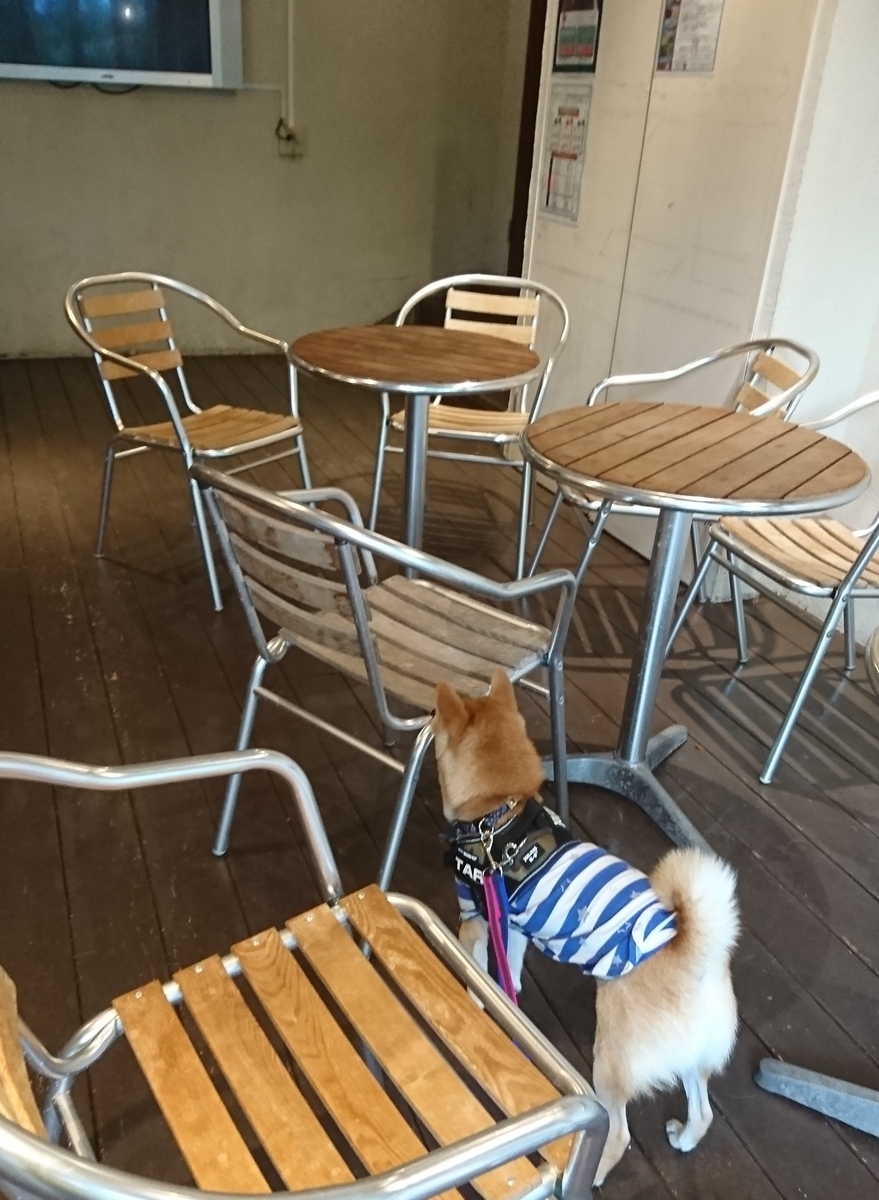 f:id:hanatara:20190918111335j:plain