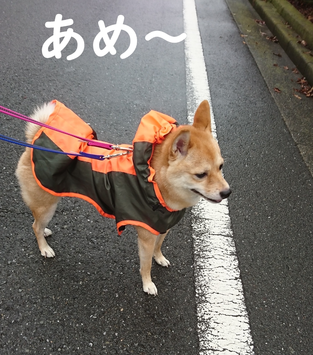 f:id:hanatara:20190929092040j:plain