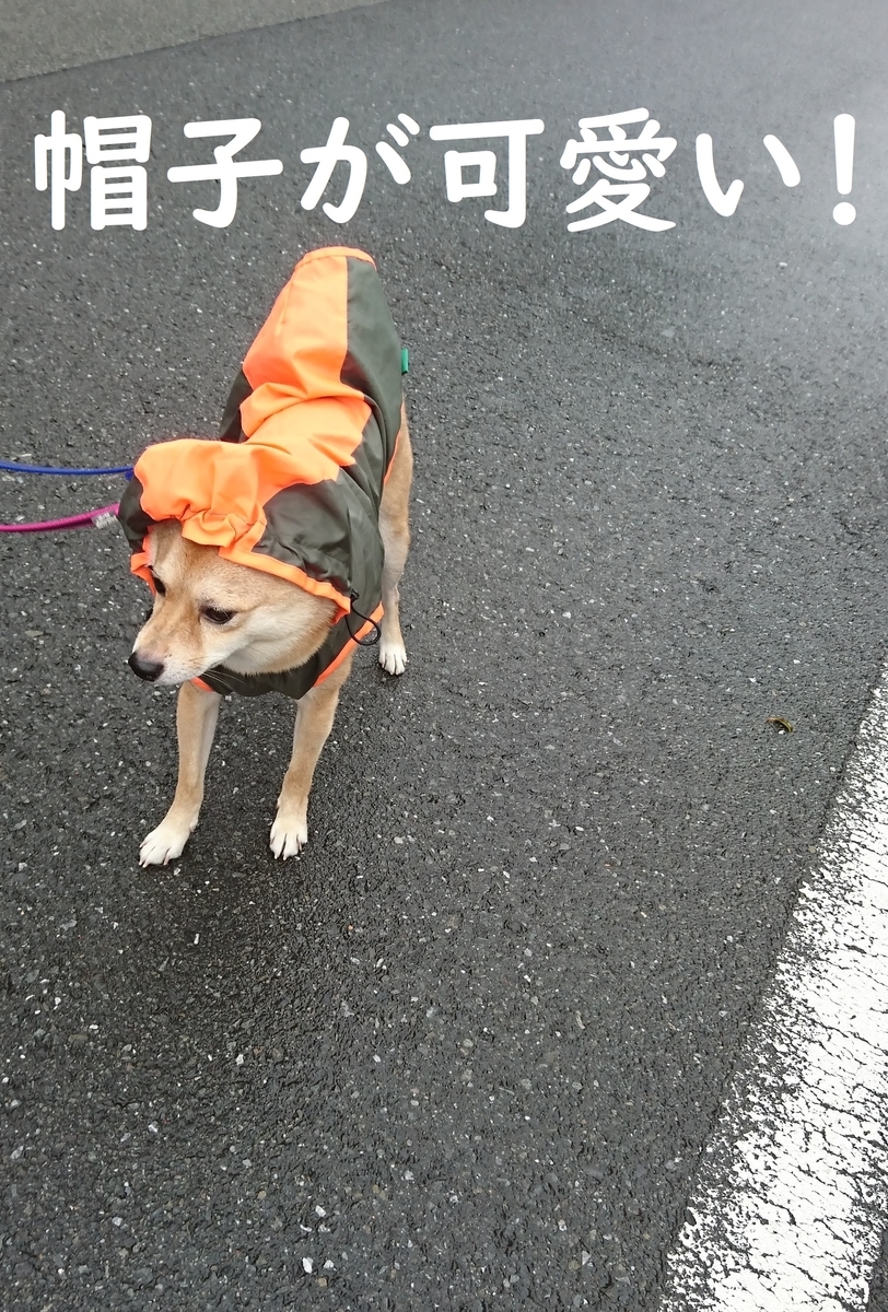f:id:hanatara:20190929092203j:plain