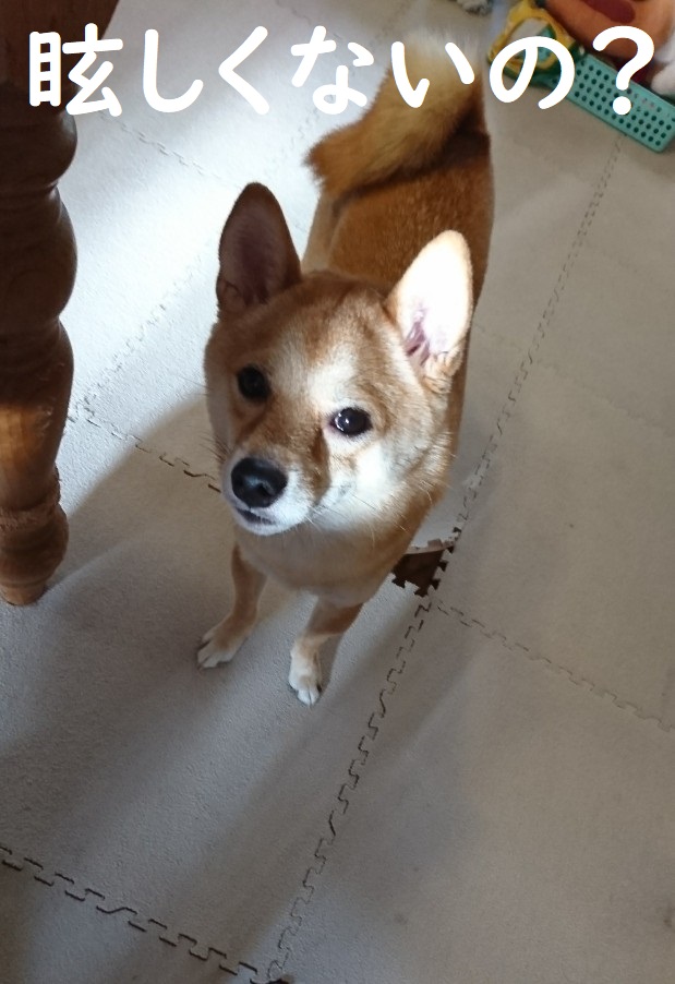 f:id:hanatara:20191005103038j:plain
