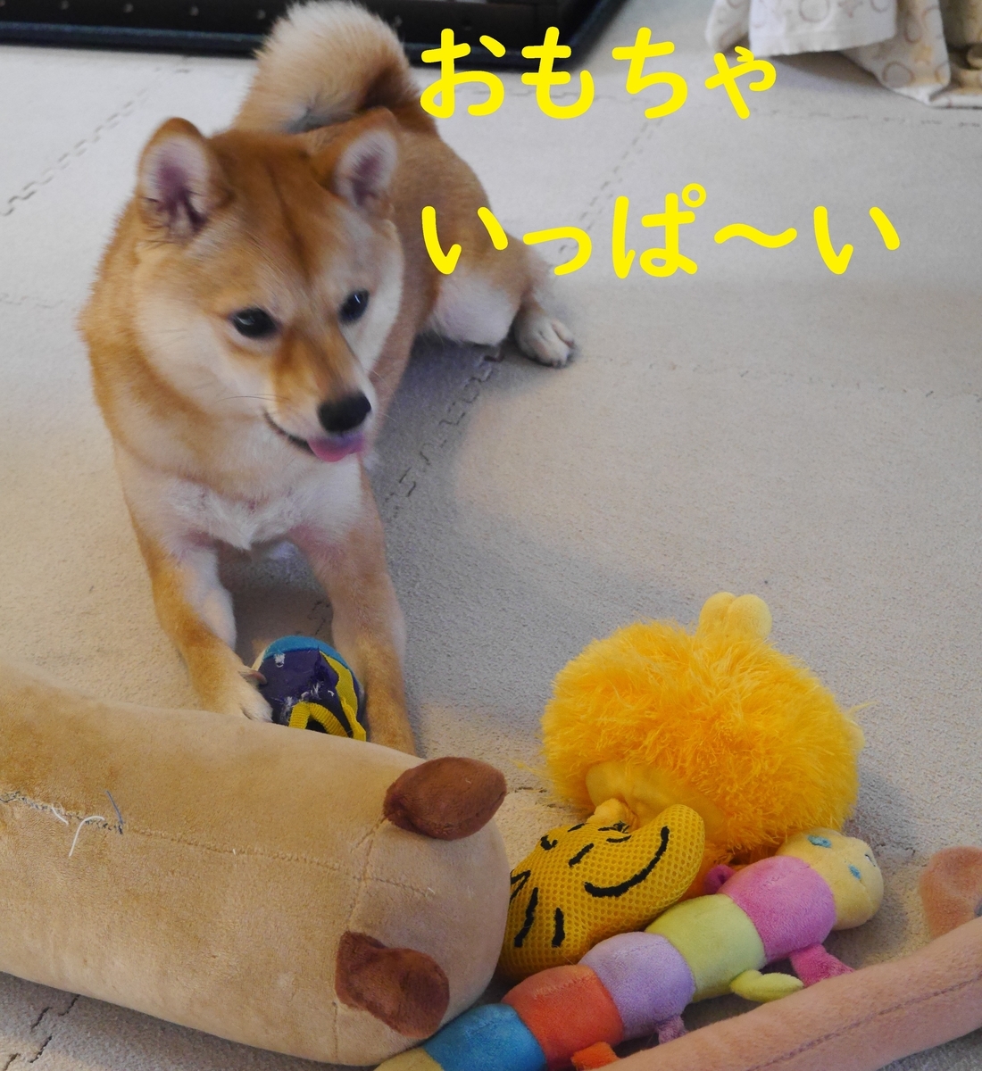 f:id:hanatara:20191005110117j:plain