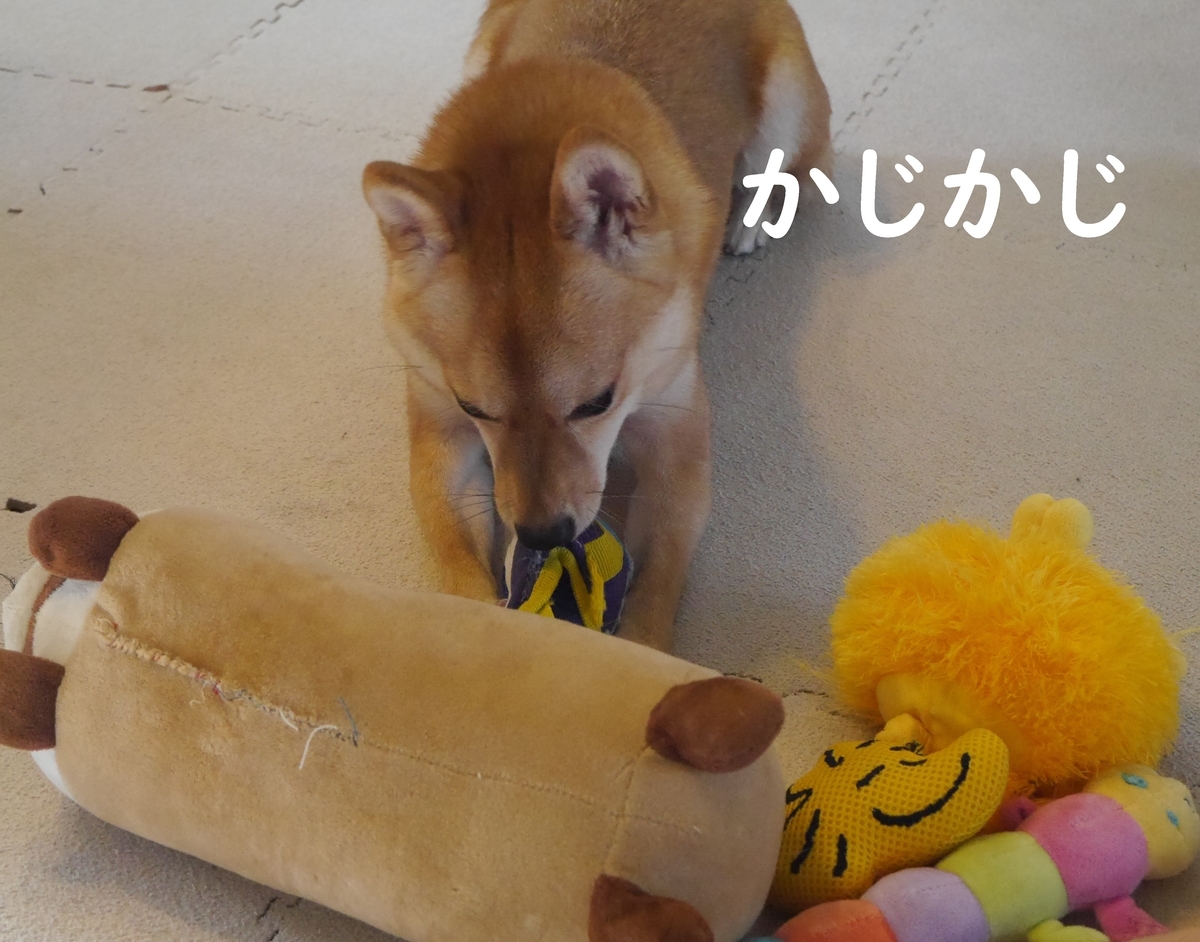 f:id:hanatara:20191005110355j:plain