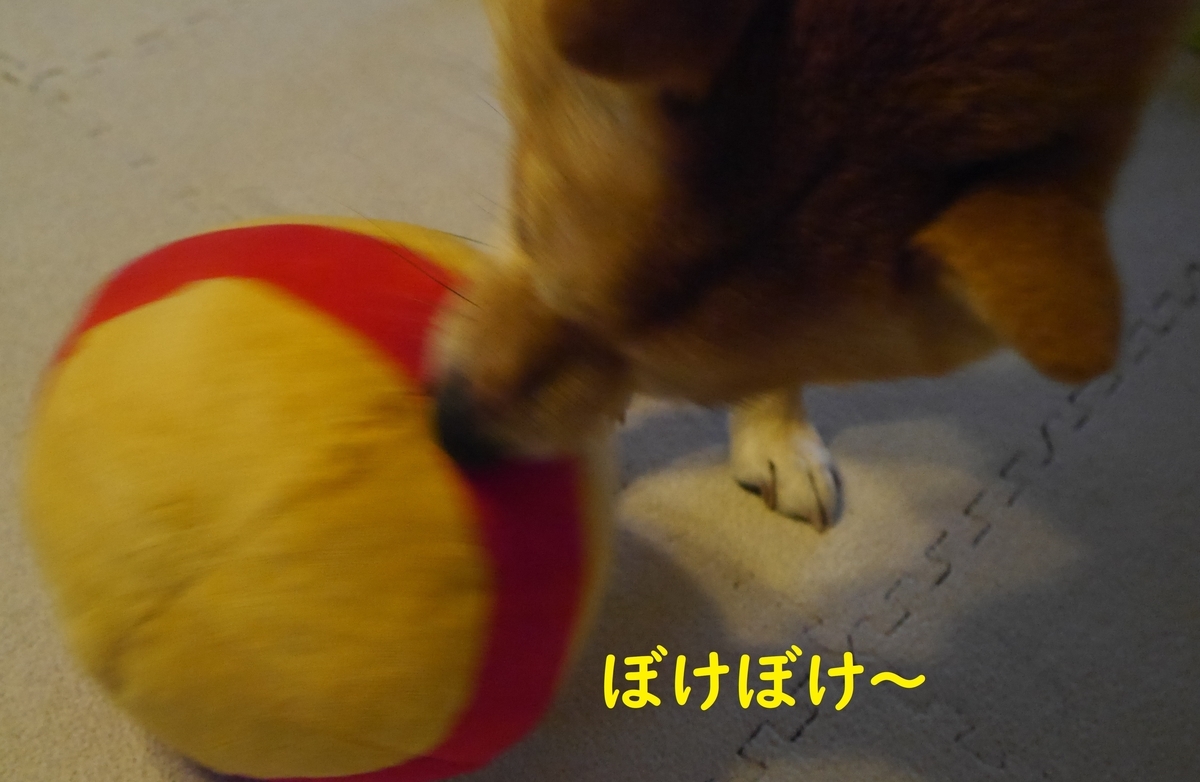 f:id:hanatara:20191022090321j:plain
