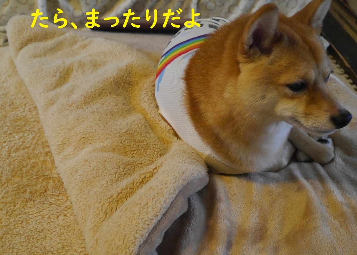 f:id:hanatara:20191022125938j:plain