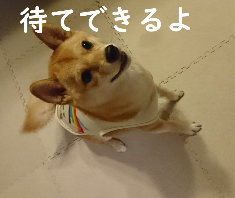 f:id:hanatara:20191026151232j:plain