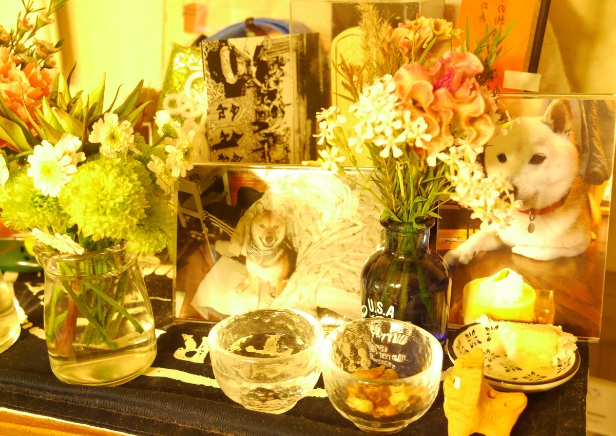 f:id:hanatara:20191026152114j:plain f:id:hanatara:20191026152114j:plain