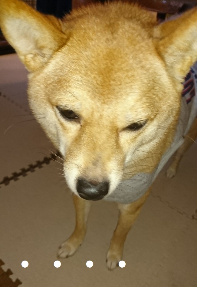 f:id:hanatara:20191122141314j:plain