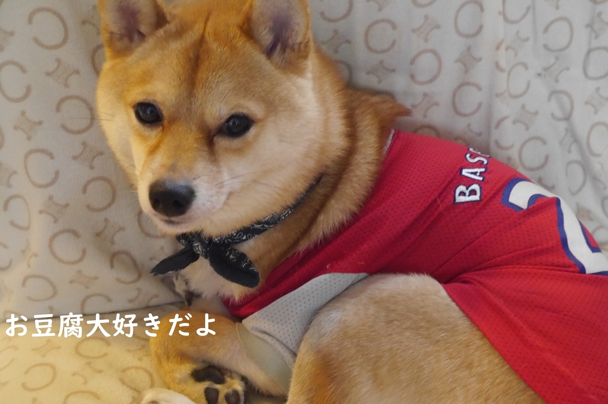 f:id:hanatara:20191129133914j:plain