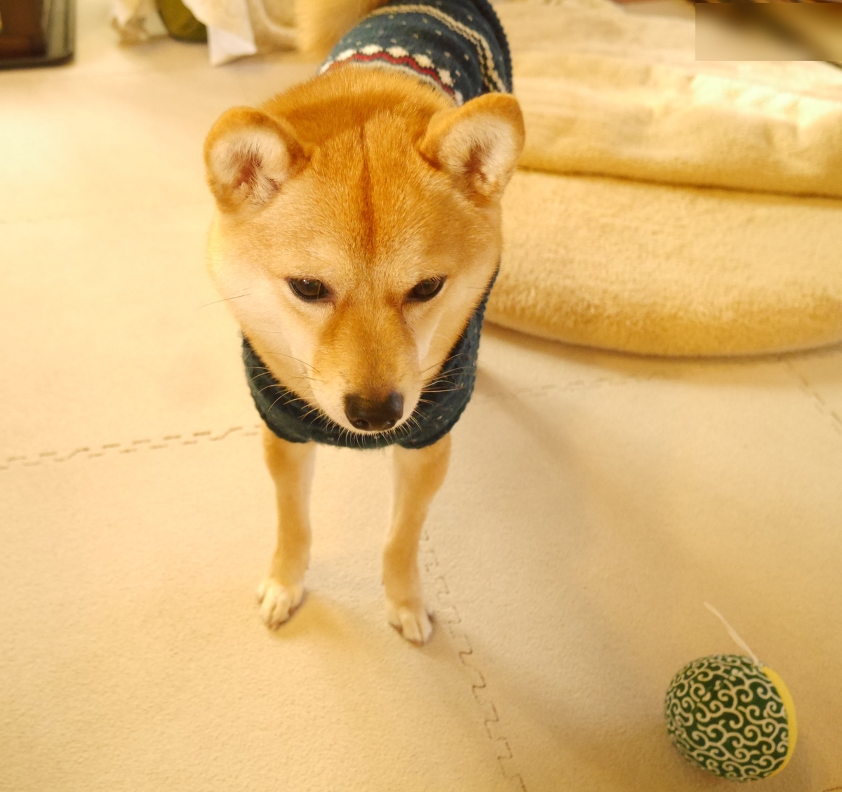 f:id:hanatara:20191231140518j:plain