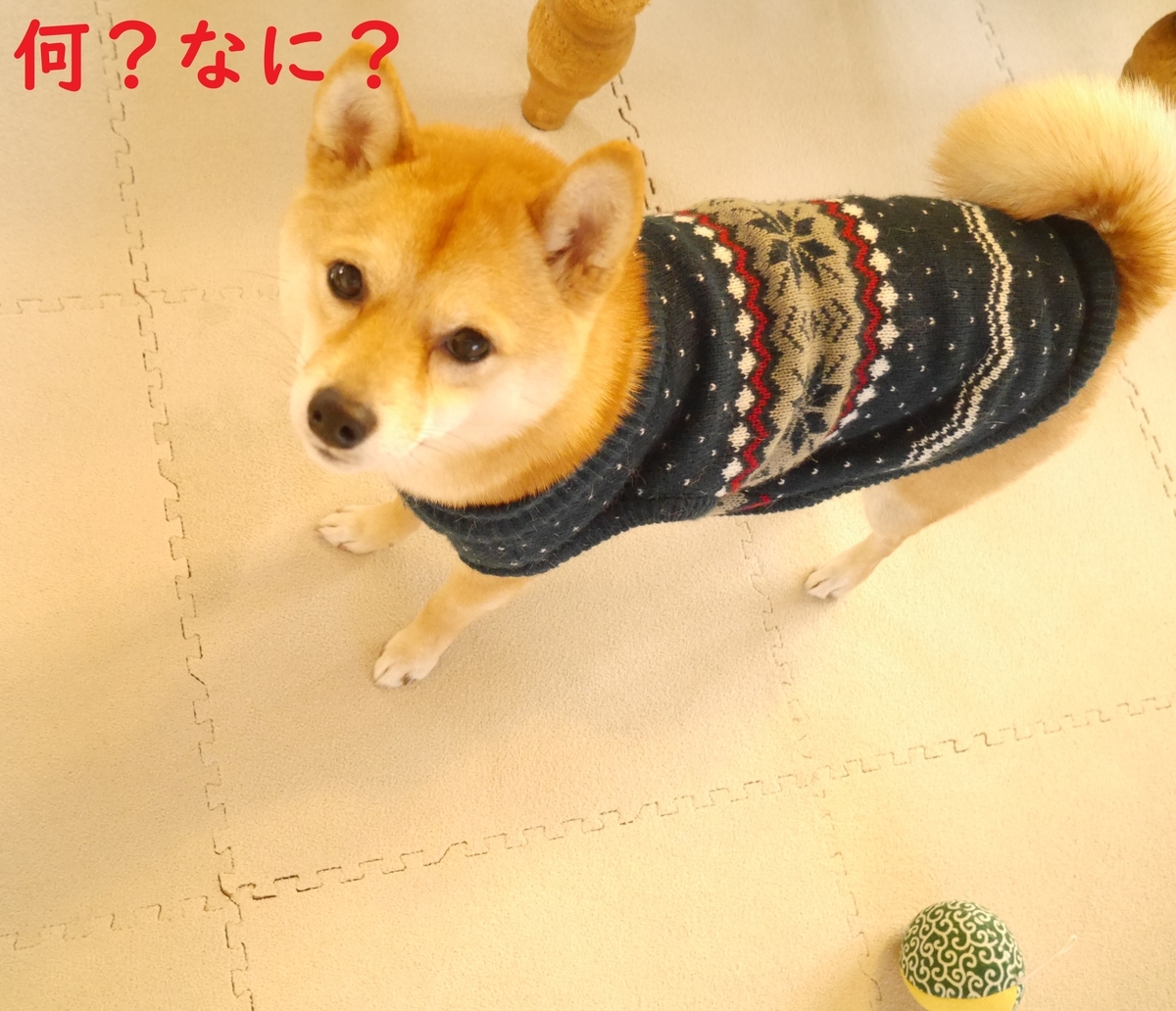 f:id:hanatara:20191231140616j:plain