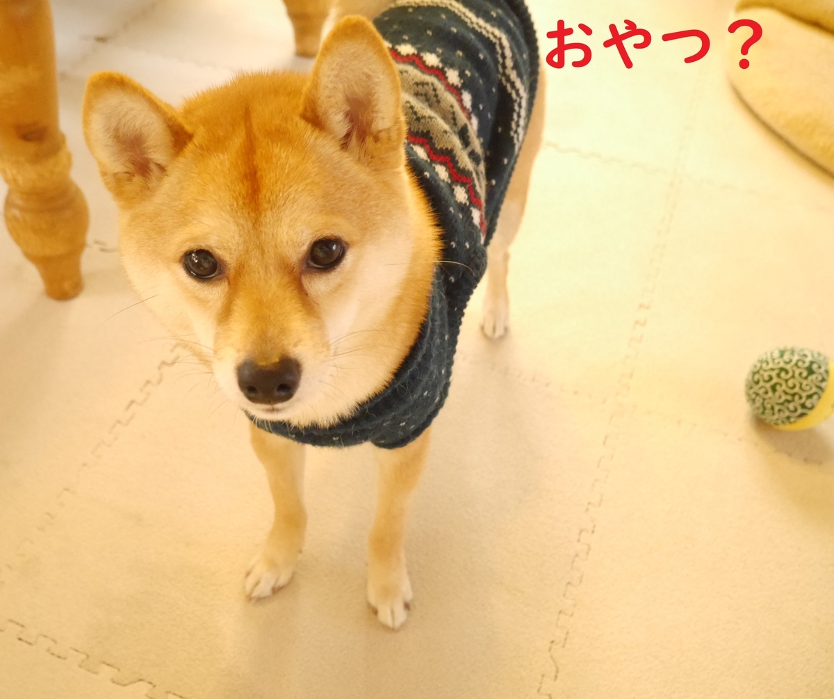 f:id:hanatara:20191231140735j:plain