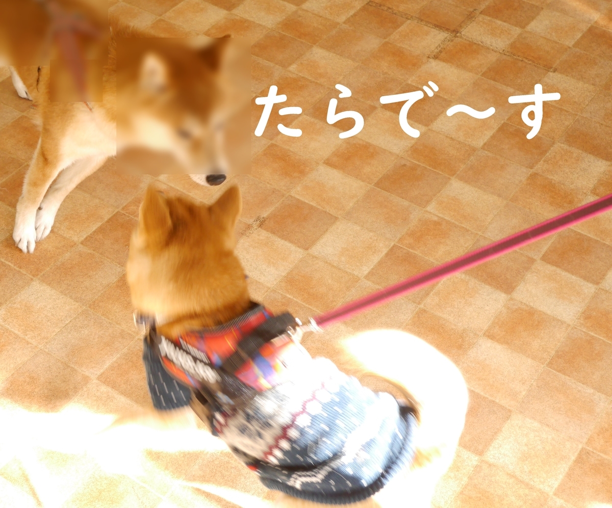 f:id:hanatara:20200102135725j:plain