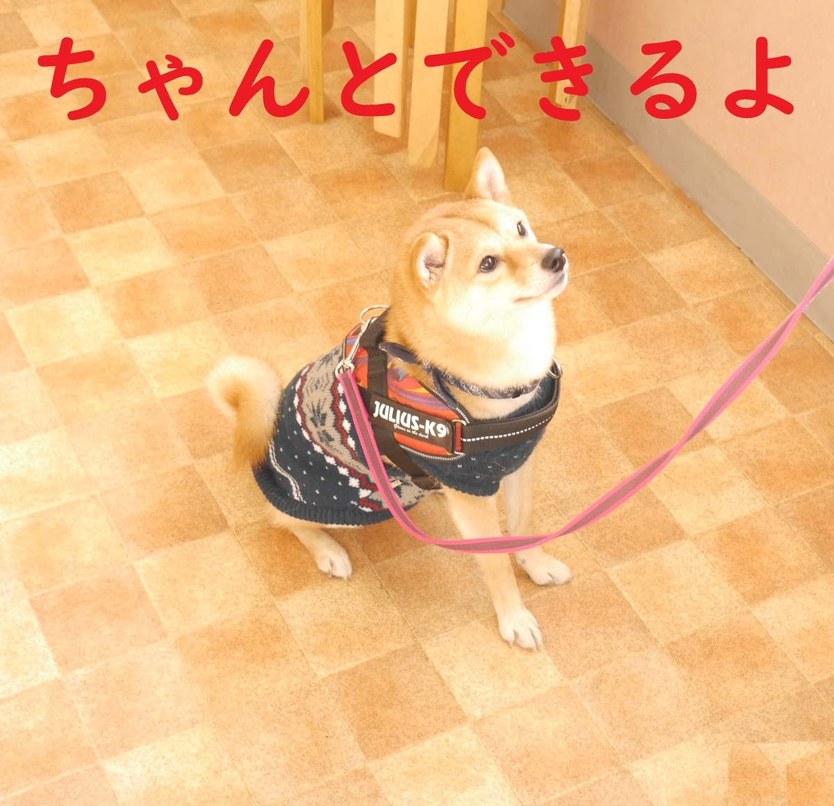 f:id:hanatara:20200102135835j:plain