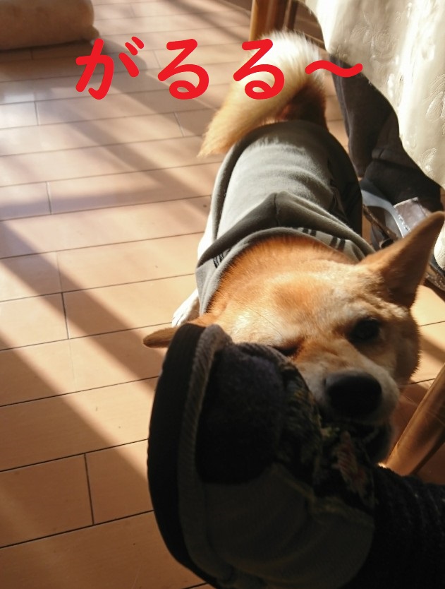 f:id:hanatara:20200102150629j:plain