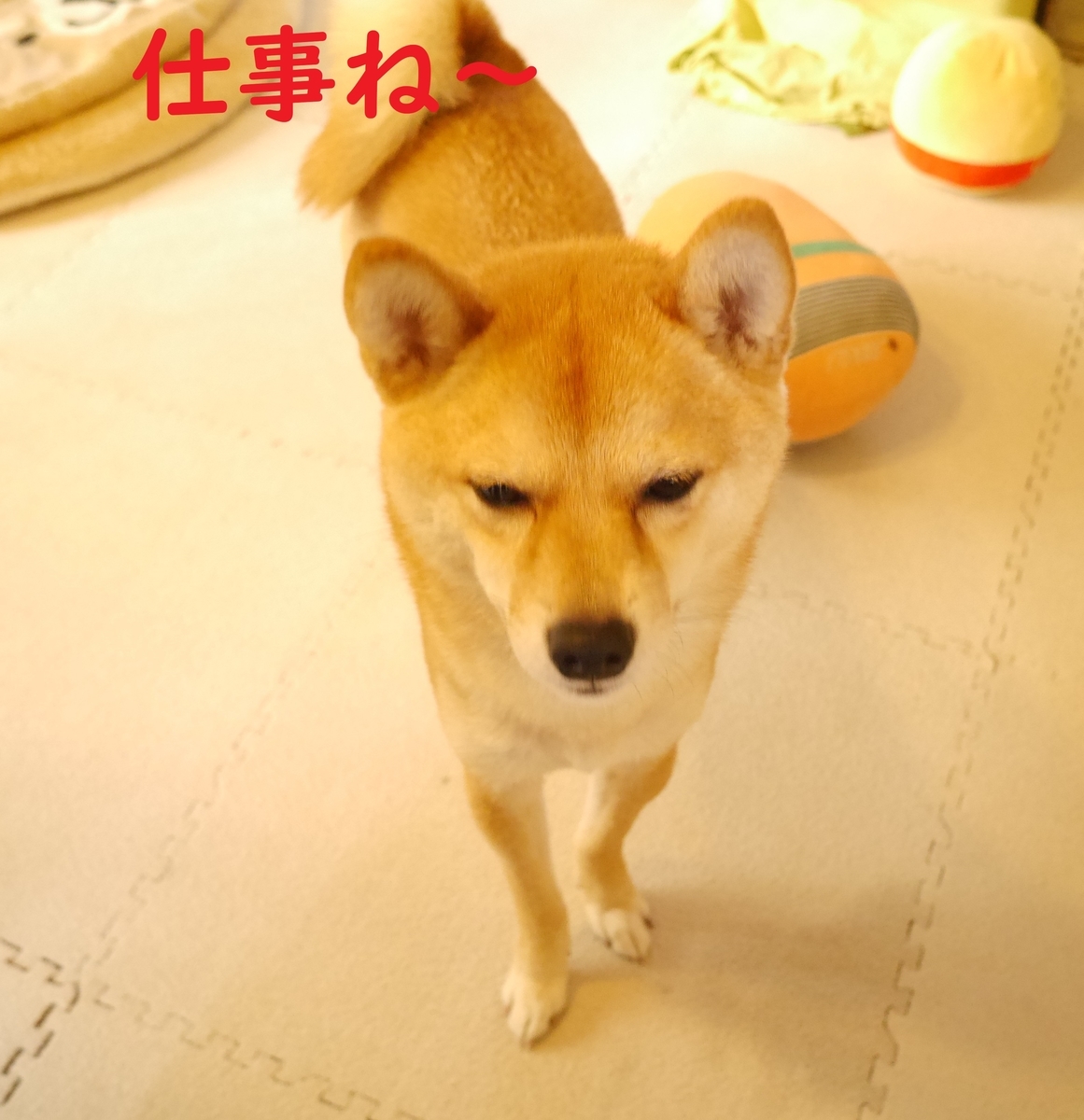 f:id:hanatara:20200105102351j:plain