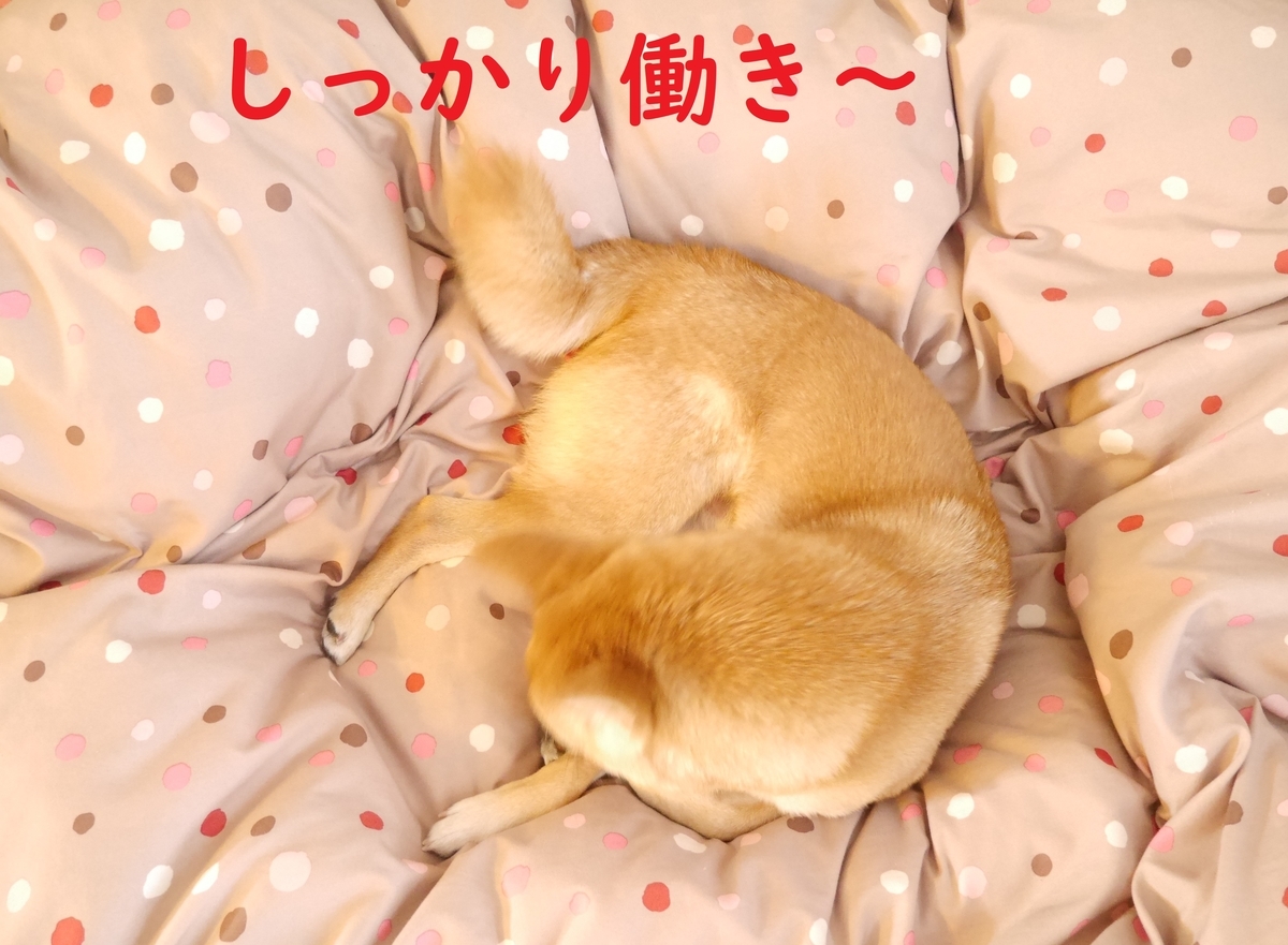f:id:hanatara:20200105102624j:plain