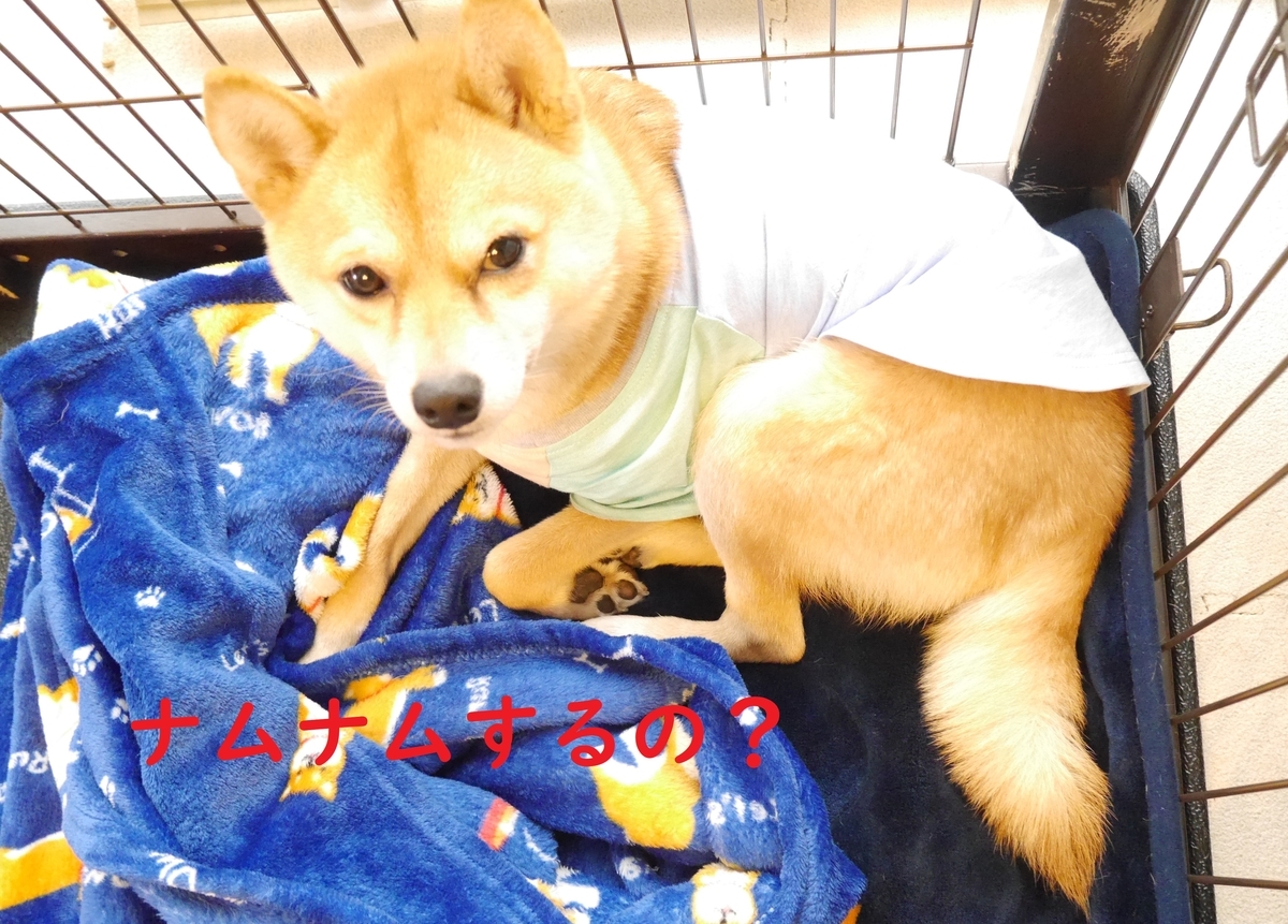 f:id:hanatara:20200113120141j:plain