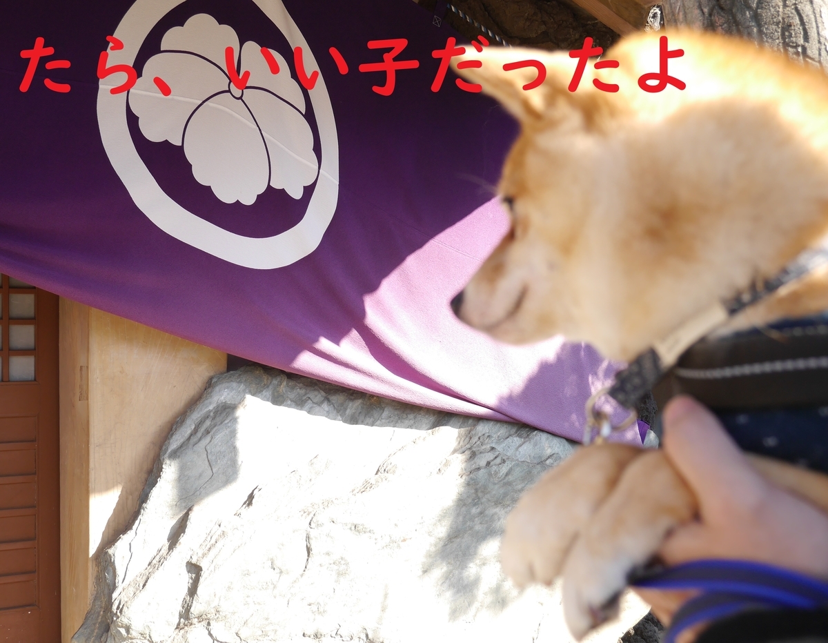 f:id:hanatara:20200208132159j:plain