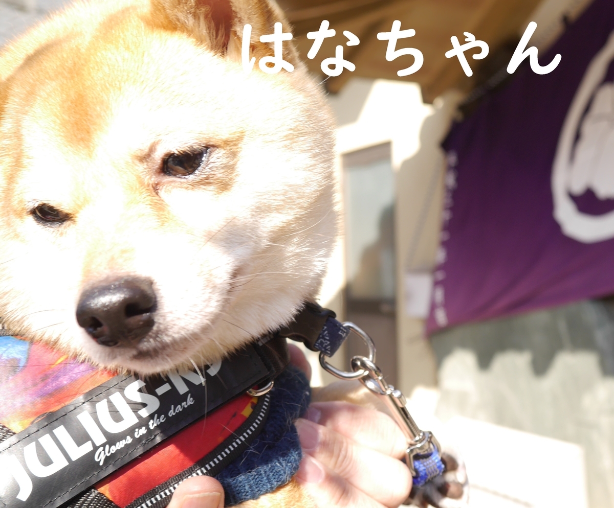 f:id:hanatara:20200208132301j:plain