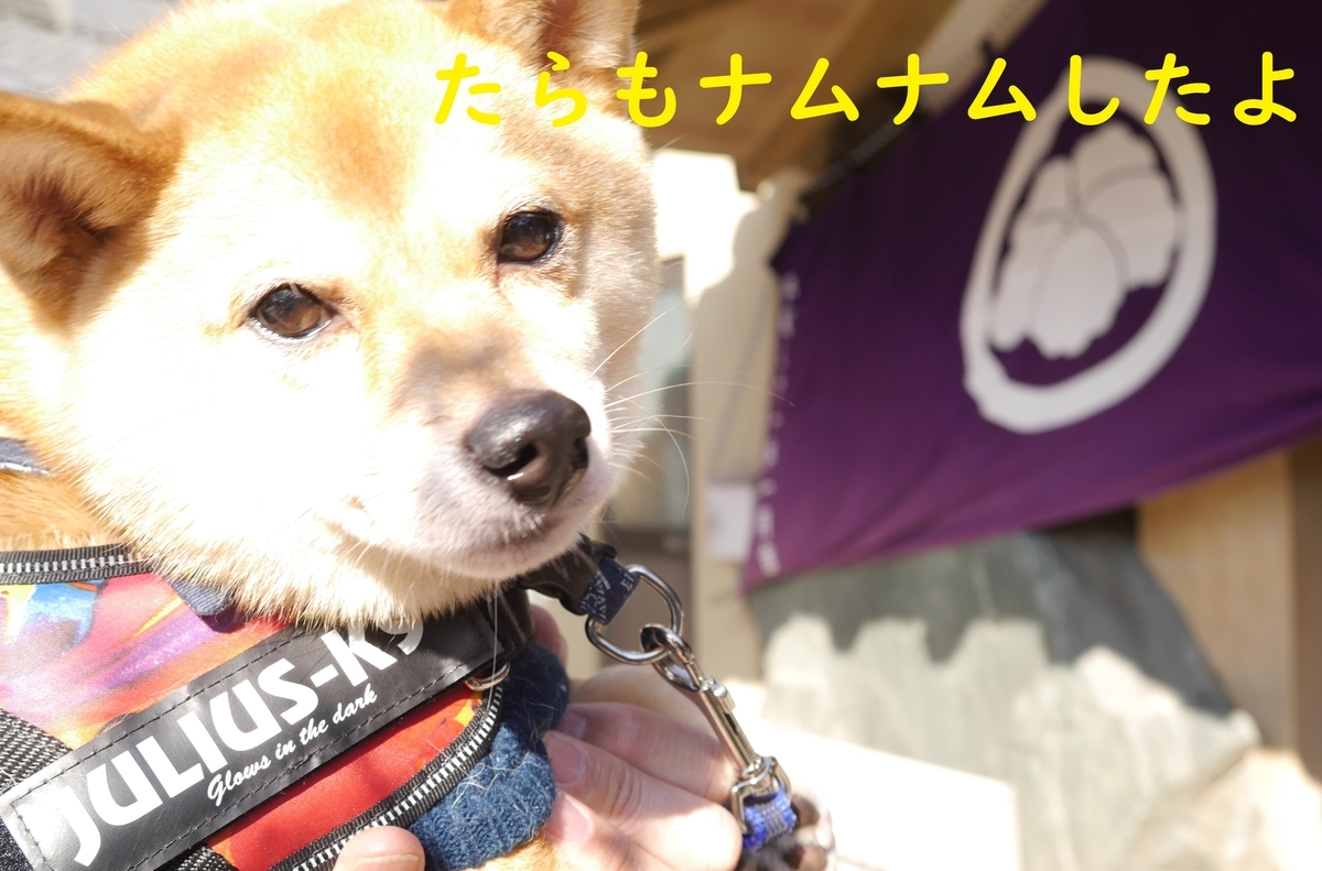 f:id:hanatara:20200208132400j:plain