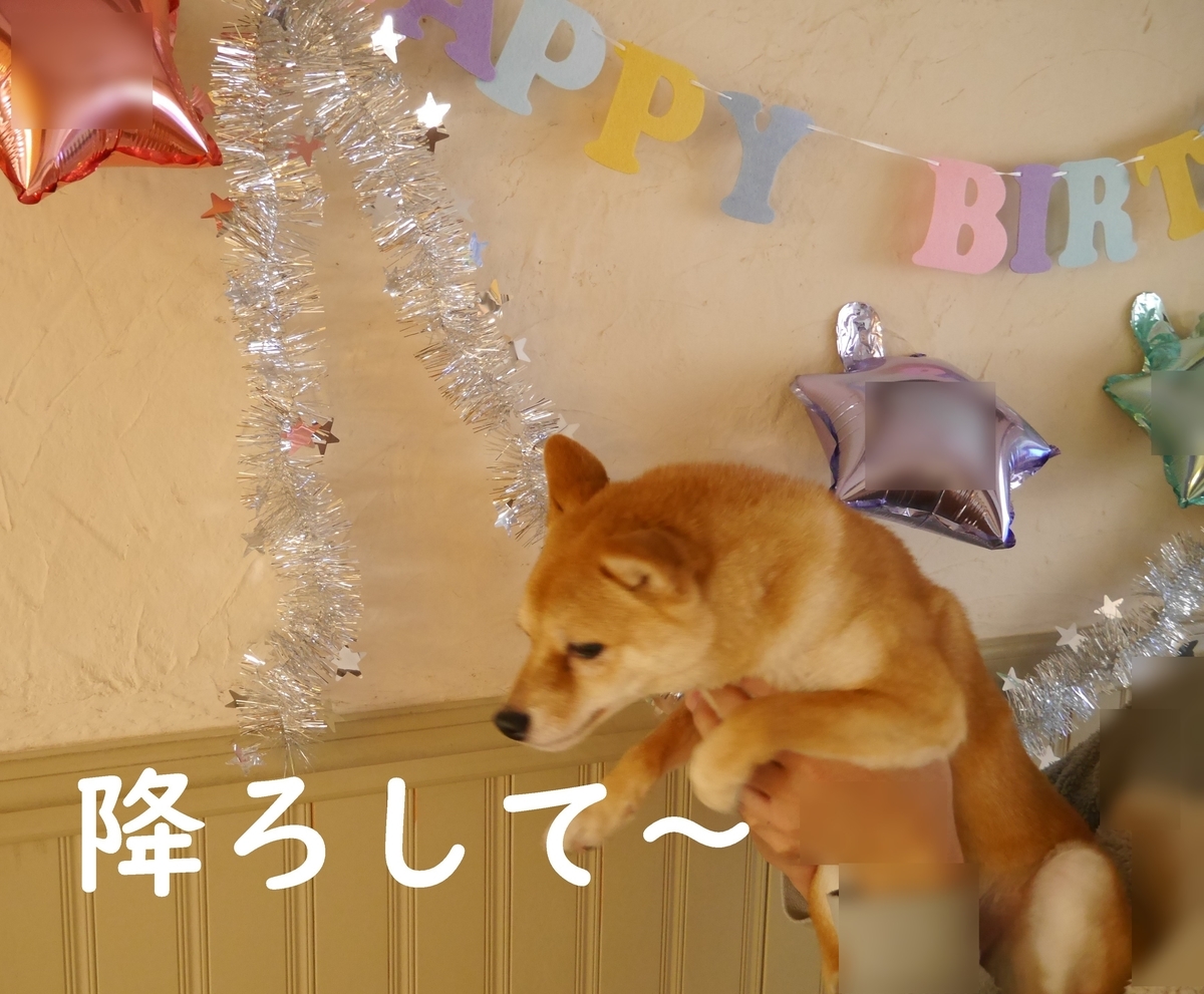 f:id:hanatara:20200224114800j:plain