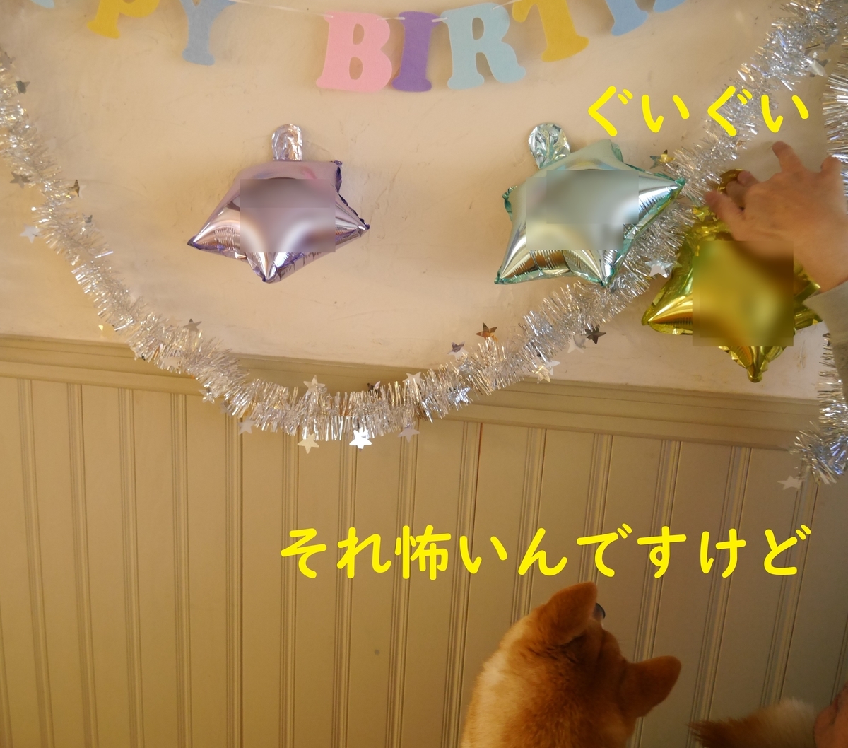 f:id:hanatara:20200224115145j:plain
