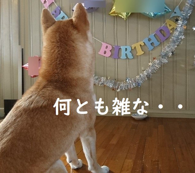 f:id:hanatara:20200224140450j:plain