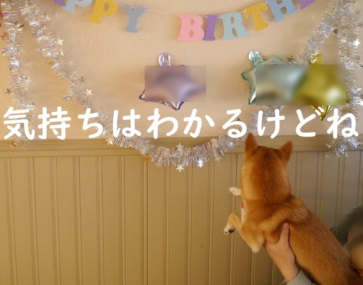 f:id:hanatara:20200224140804j:plain