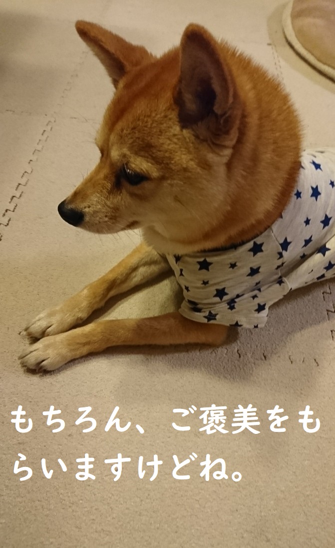 f:id:hanatara:20200327141749j:plain