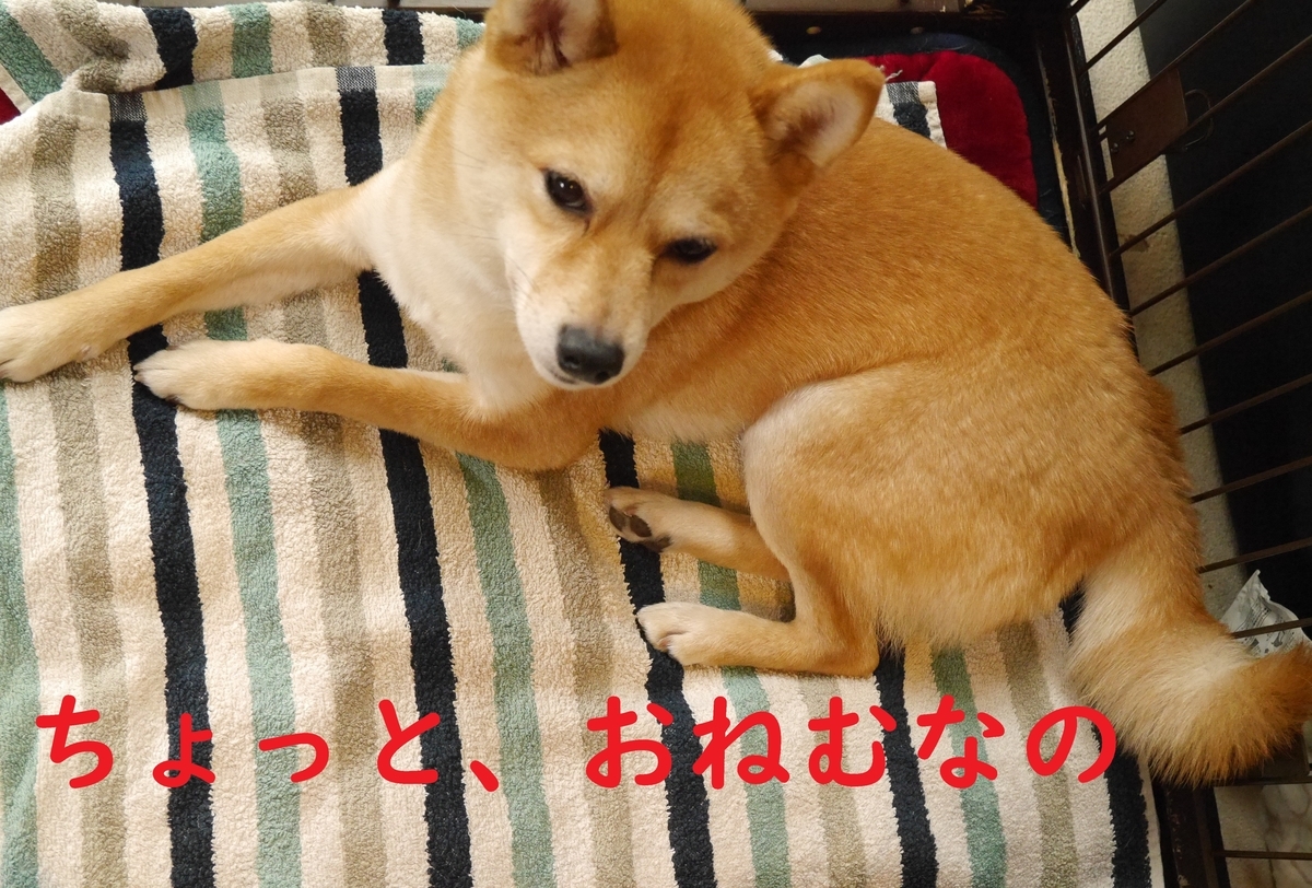 f:id:hanatara:20200328134036j:plain