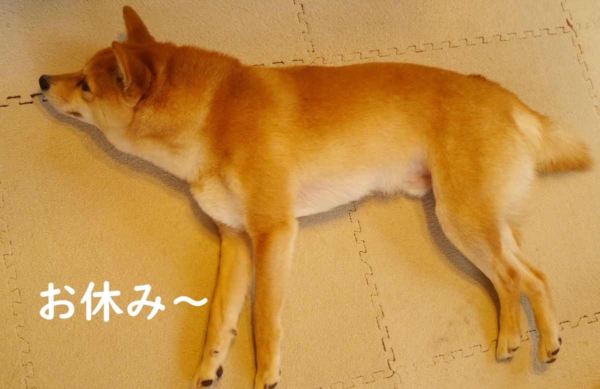 f:id:hanatara:20200328134706j:plain