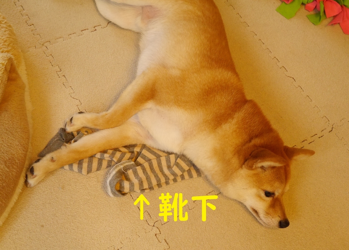 f:id:hanatara:20200405110404j:plain