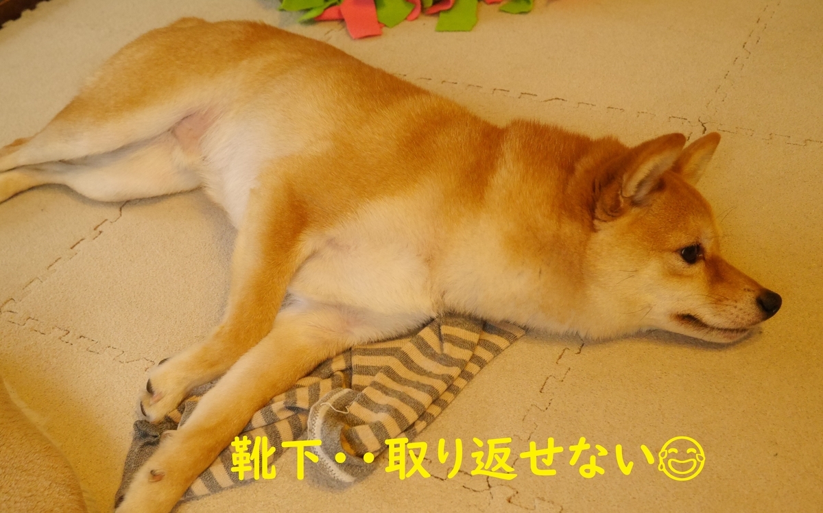 f:id:hanatara:20200405110539j:plain