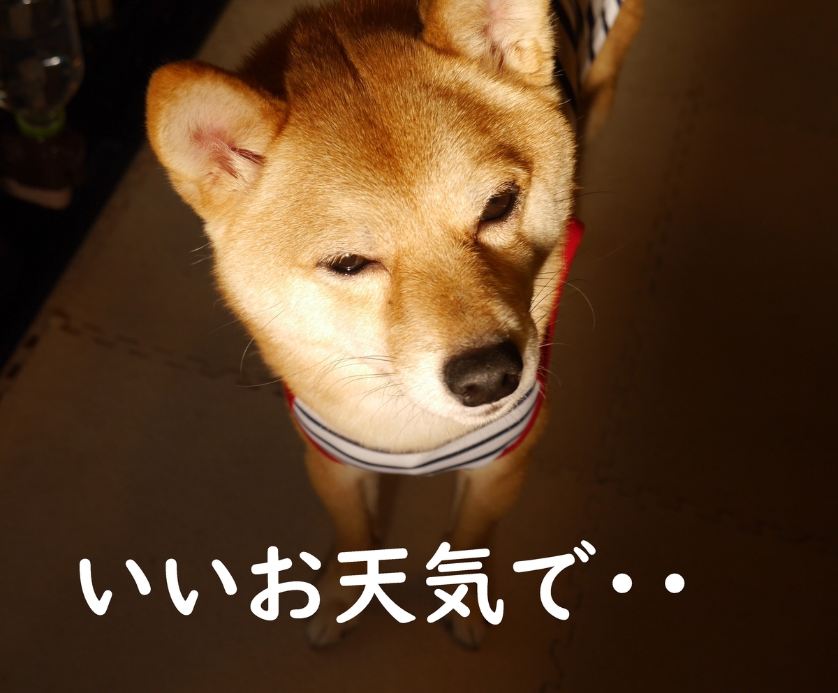 f:id:hanatara:20200410120801j:plain
