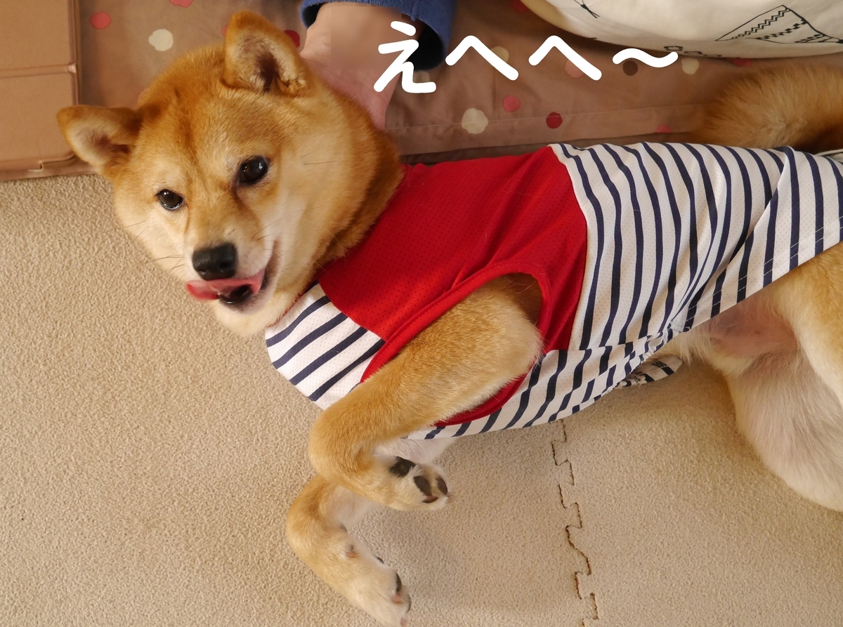 f:id:hanatara:20200410142937j:plain