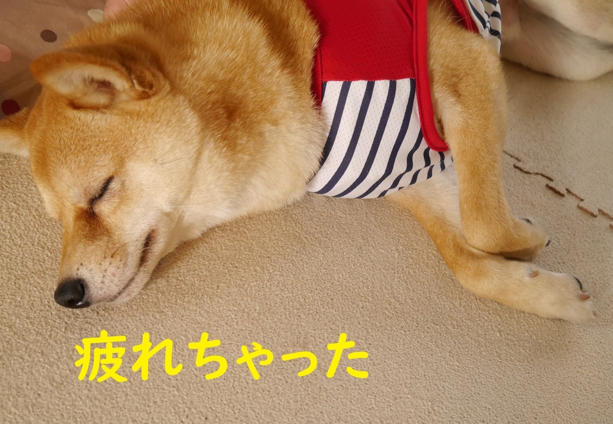 f:id:hanatara:20200410143142j:plain