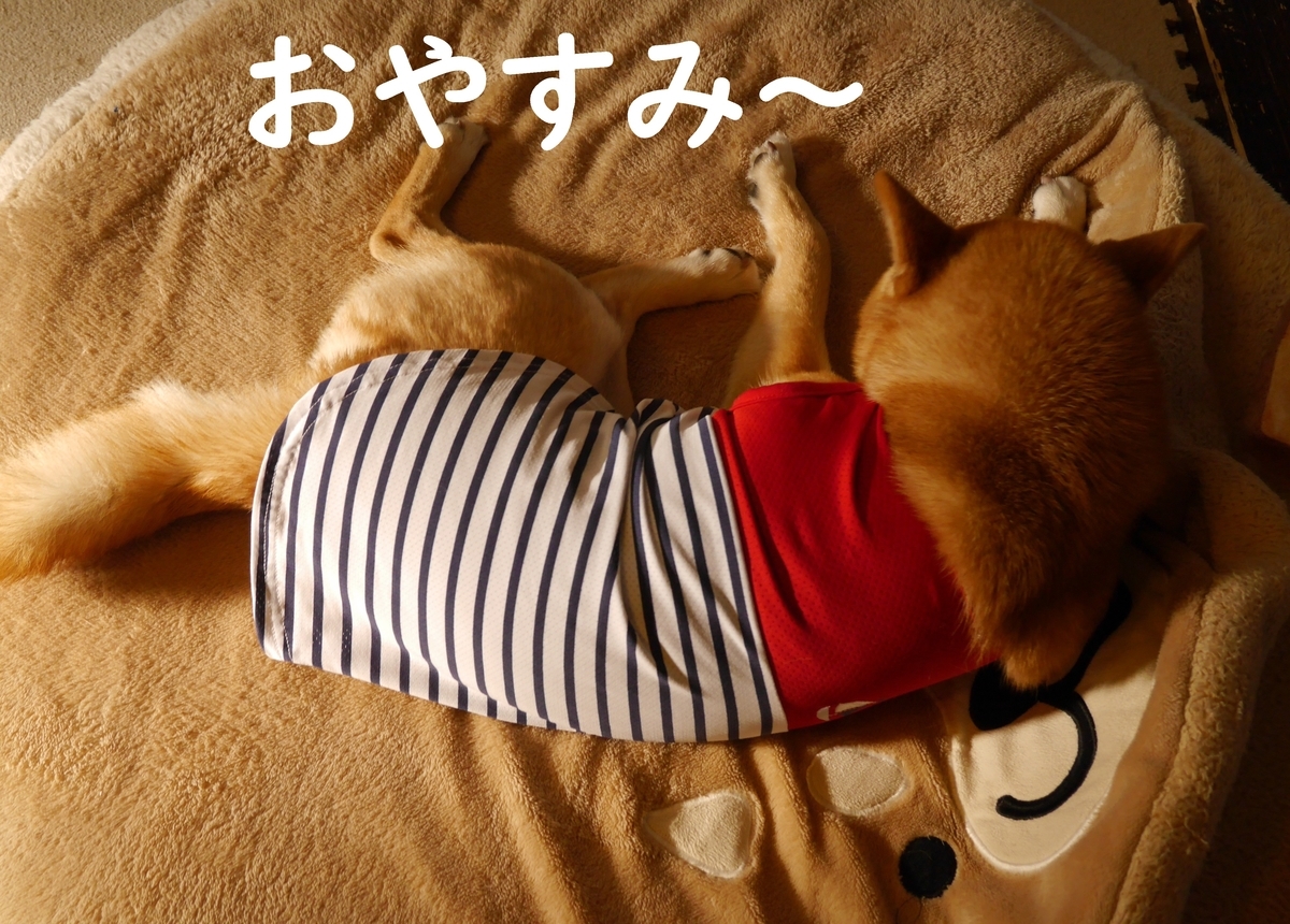 f:id:hanatara:20200410143242j:plain
