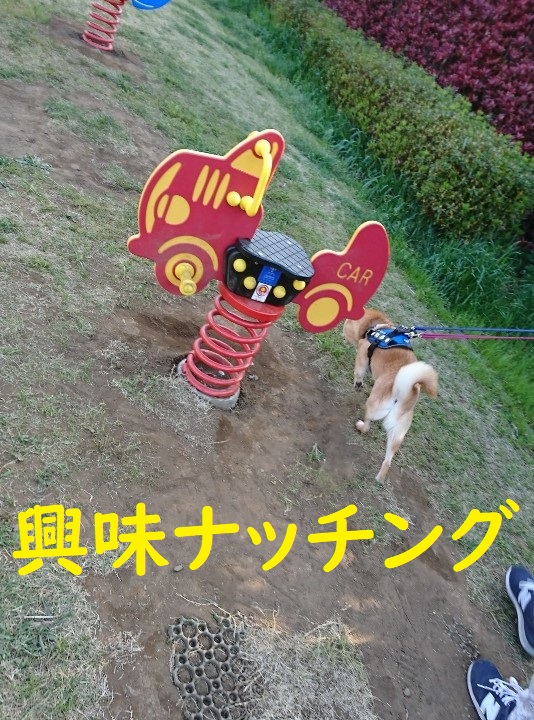 f:id:hanatara:20200411143746j:plain f:id:hanatara:20200411143746j:plain
