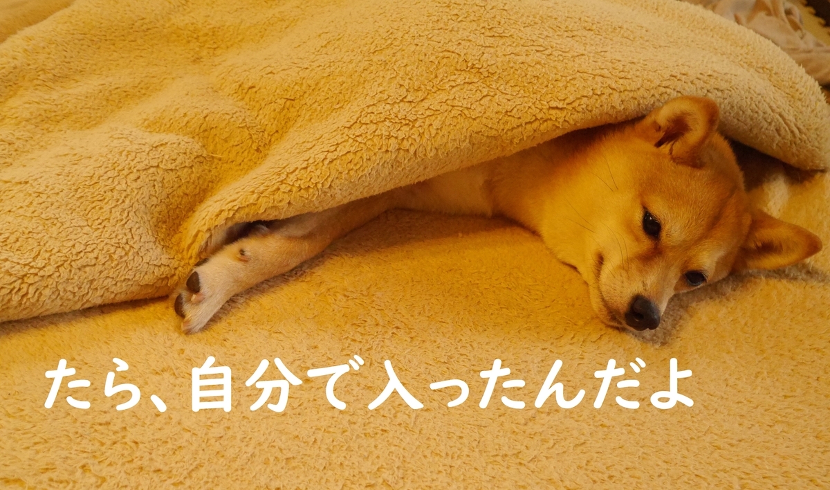 f:id:hanatara:20200412090446j:plain