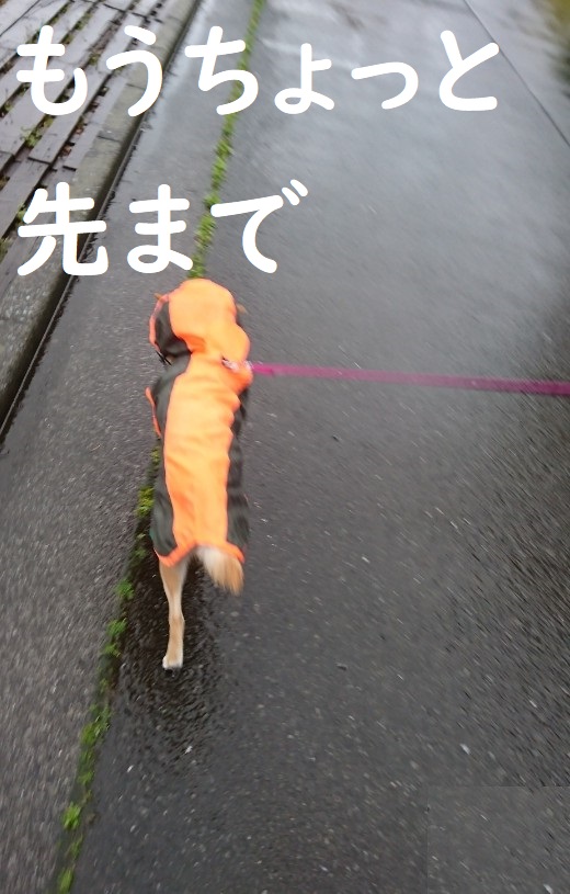 f:id:hanatara:20200419110705j:plain