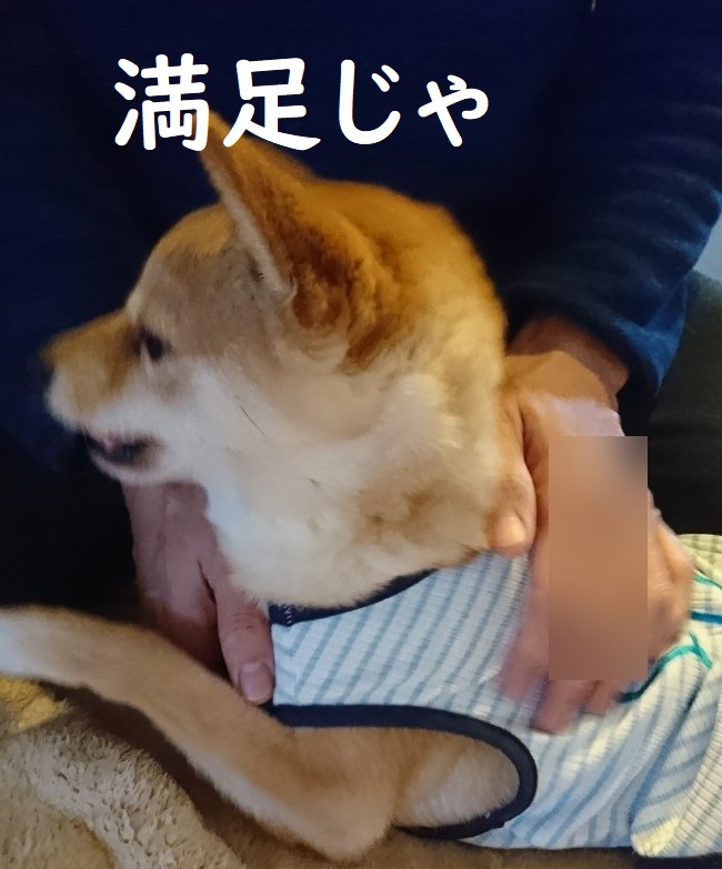 f:id:hanatara:20200425101128j:plain